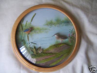 Kingfisher and Unknown (7-inch)